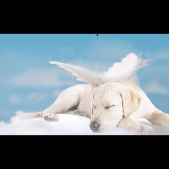 Meet your Posher - Picture 3 of 6